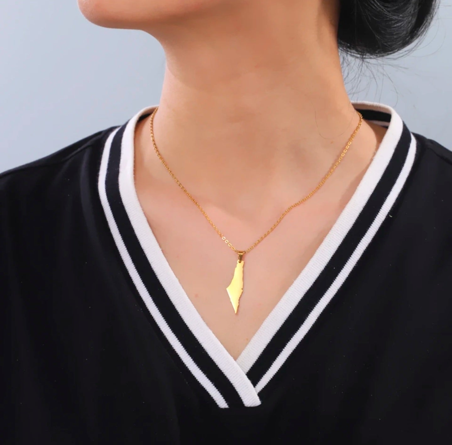 Solid palestine map necklace